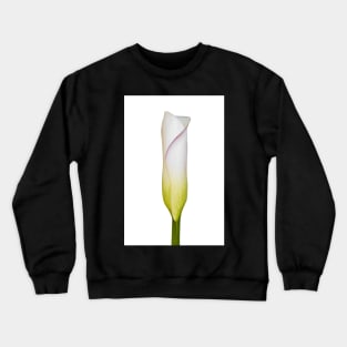 Arum Lily Bud Crewneck Sweatshirt